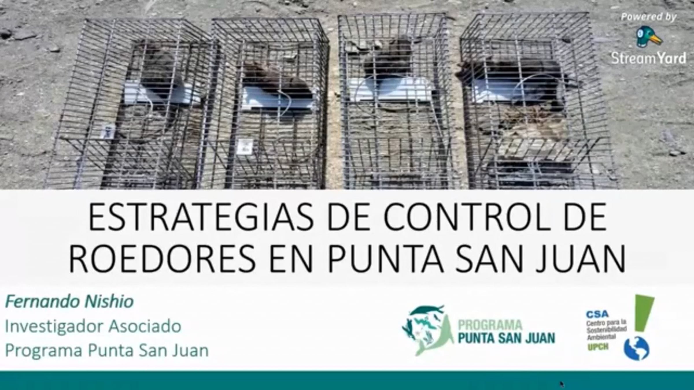 Estrategias de Control de Roedores en Punta San Juan | Videos & Movies ...