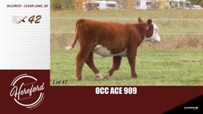 Lot #42 - OCC ACE 909