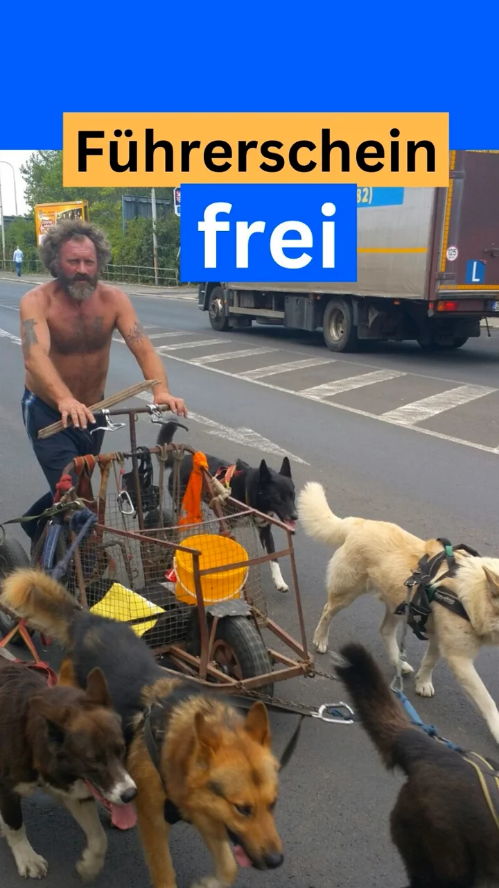  kein fuehrerschein für hundeführer on Vimeo Motiv 