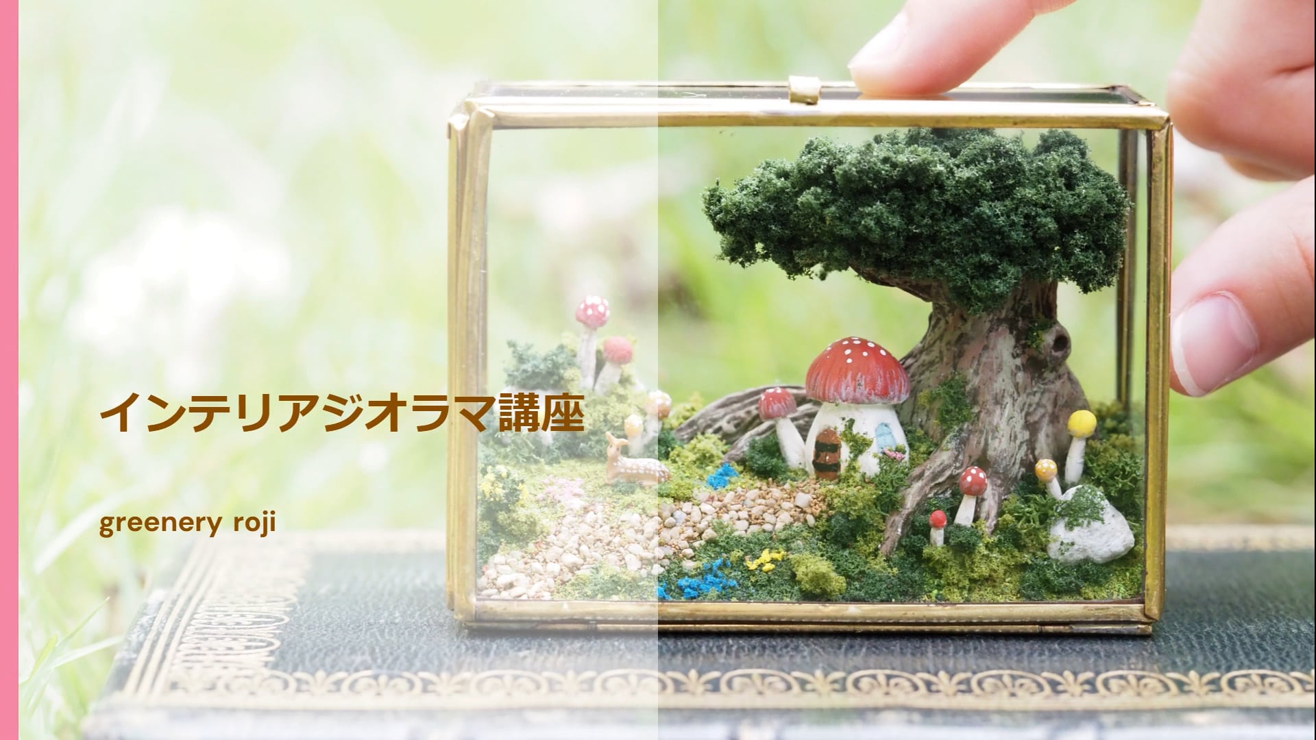 予告編動画のサムネイル画像