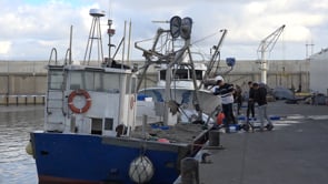 La tonyina Trini ha tornat al port de l'Escala