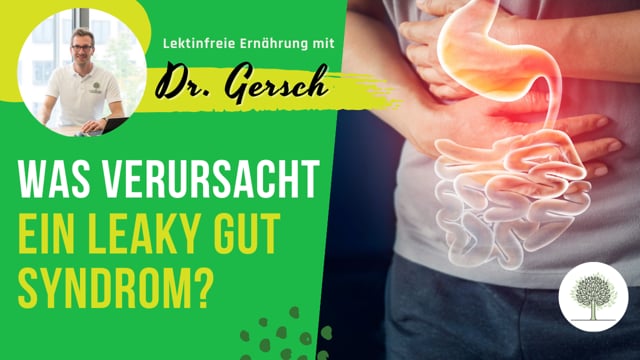 Welche anderen Faktoren außer Lektinen haben einen Einfluss auf ein Leaky-Gut-Syndrom?