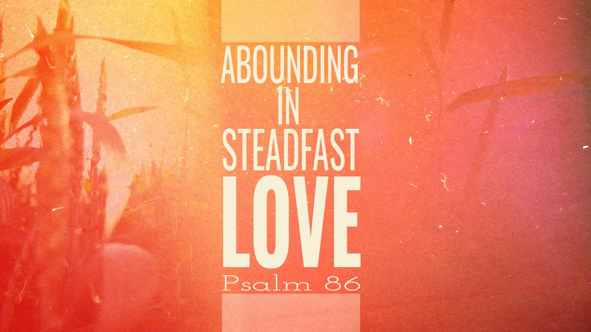 Psalm 86 Message