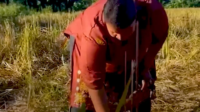 Le cri d’une agricultrice - Vidéo ePOP