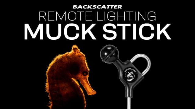 The Backscatter Remote Lighting Muck Stick