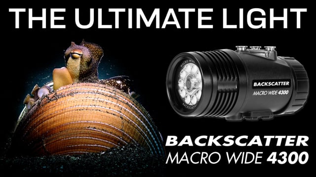 The Ultimate Dive, Photo, and Video Light: Backscatter Macro Wide 4300