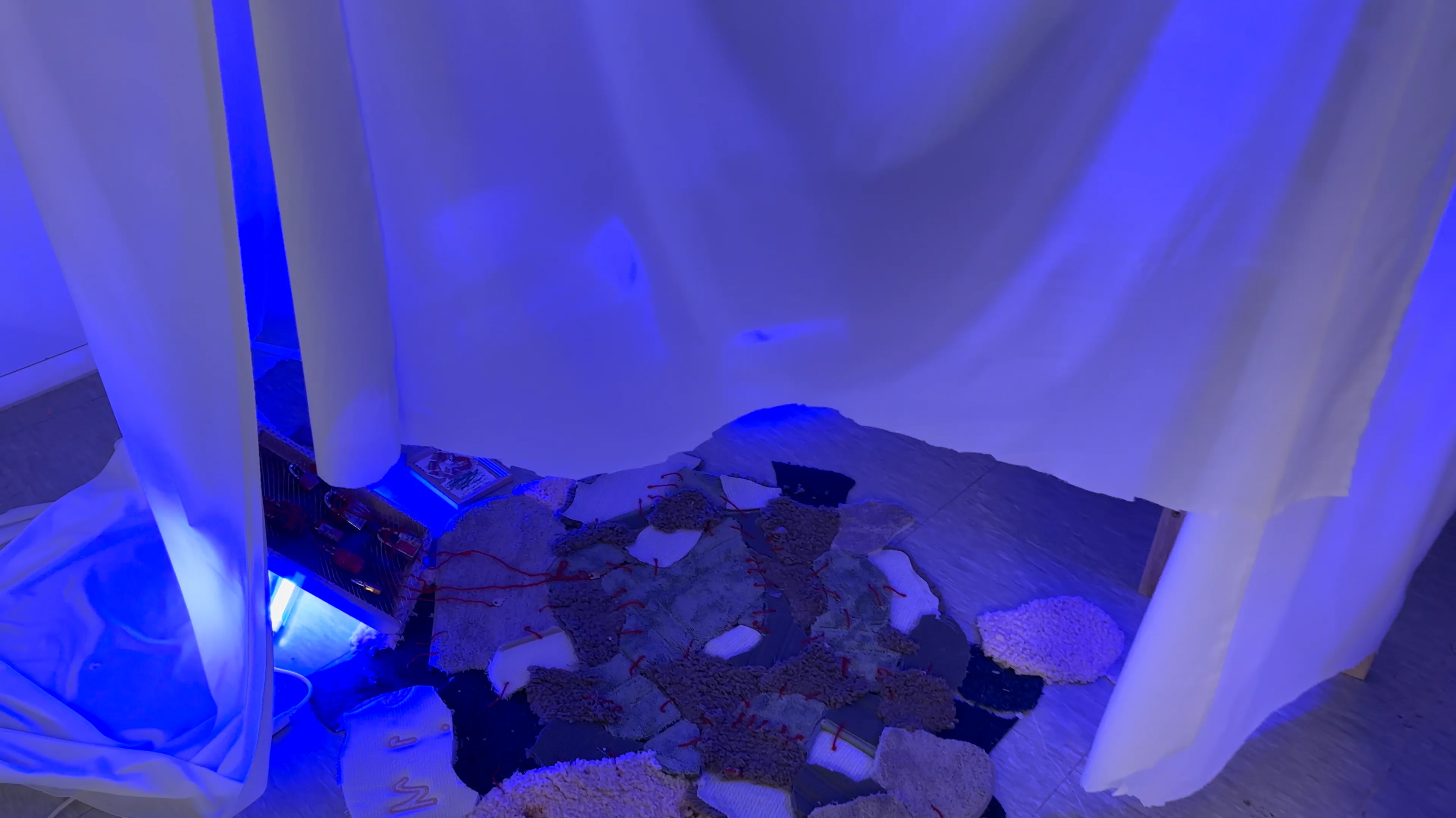 Term22 Dawn chorus_Documentation 1 on Vimeo