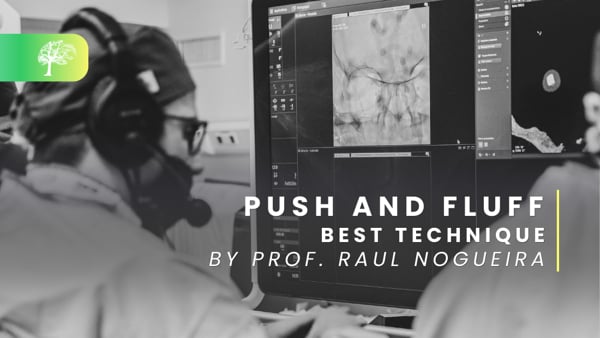 Push and Fluff by Prof. Raul NOGUEIRA