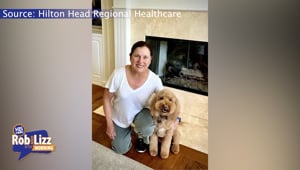 Dog Hospital in Low Country