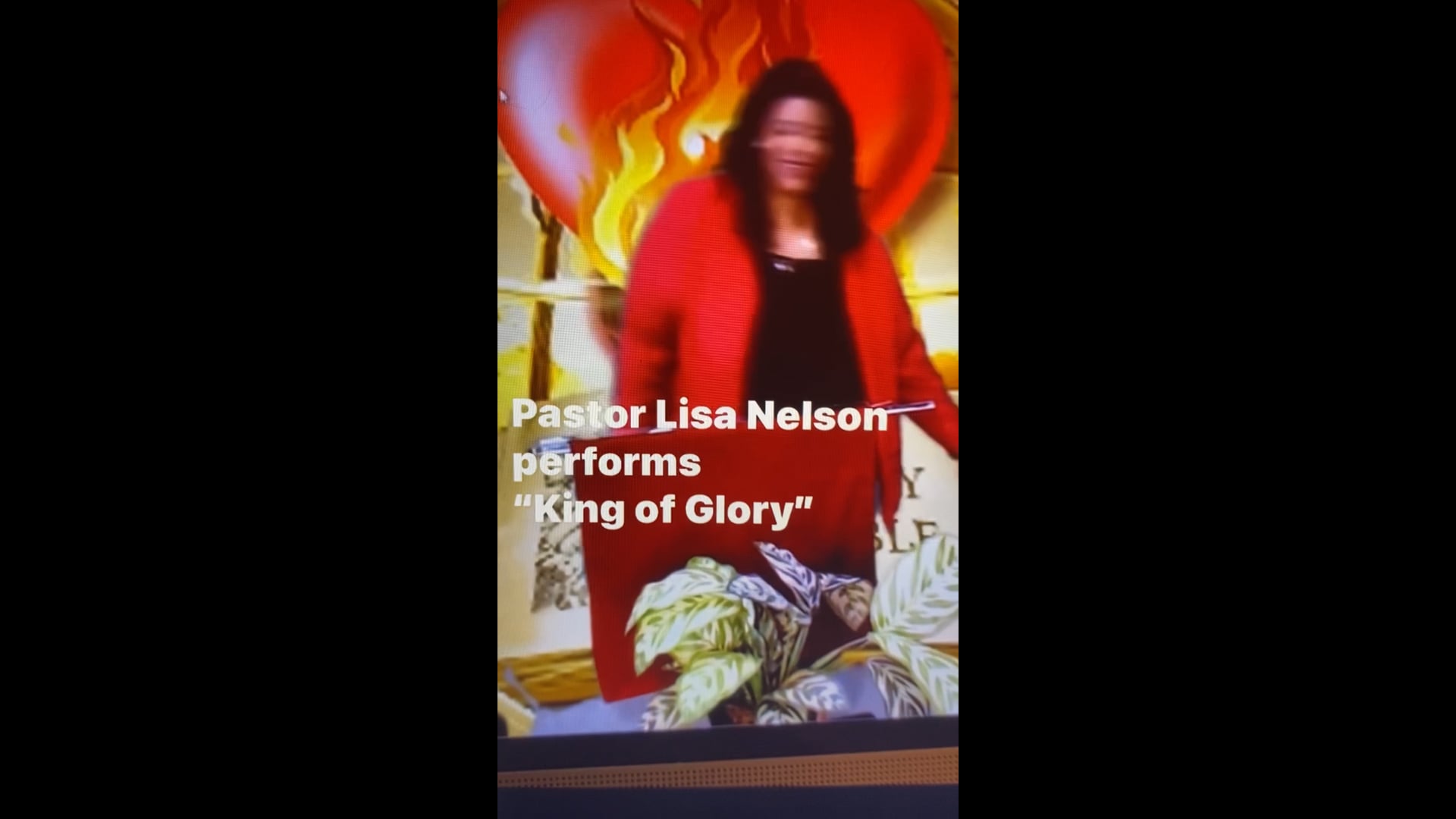 Promotional video thumbnail 4 for Lisa D Nelson