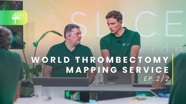 World Thrombectomy Mapping Service - Ep.2/2