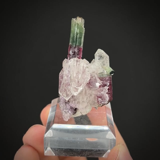 Tourmaline with Lepidolite and Quartz