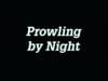 Prowling By Night