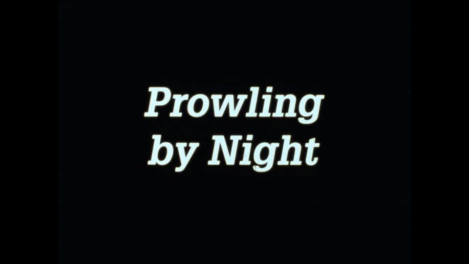 Prowling By Night