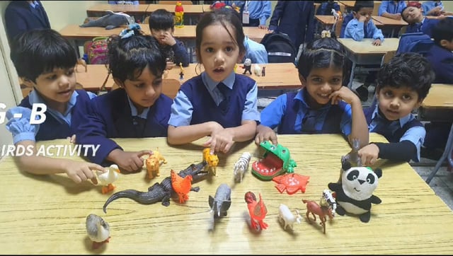 Animal-Birds Identification Activity