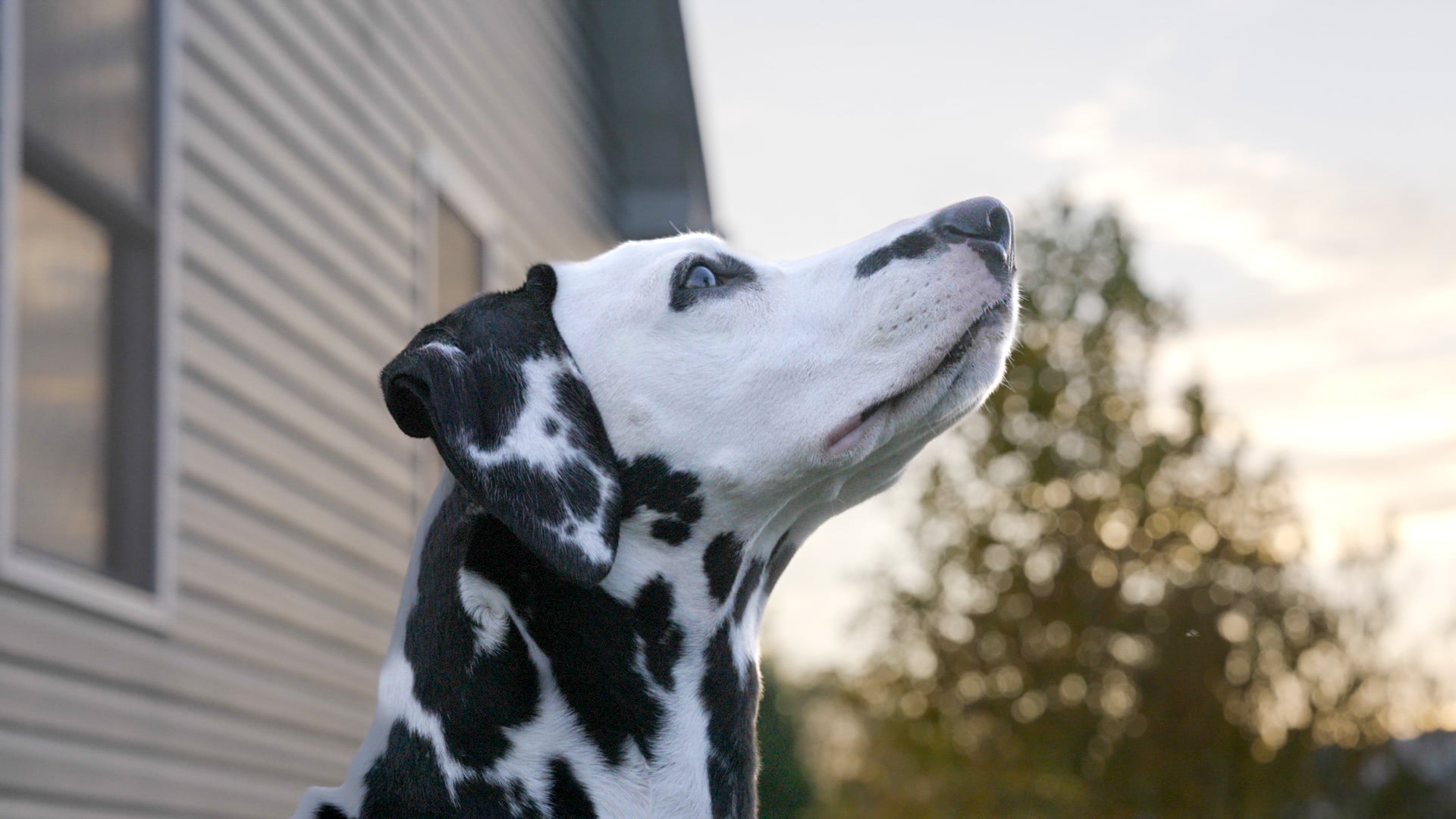 Loving the spots