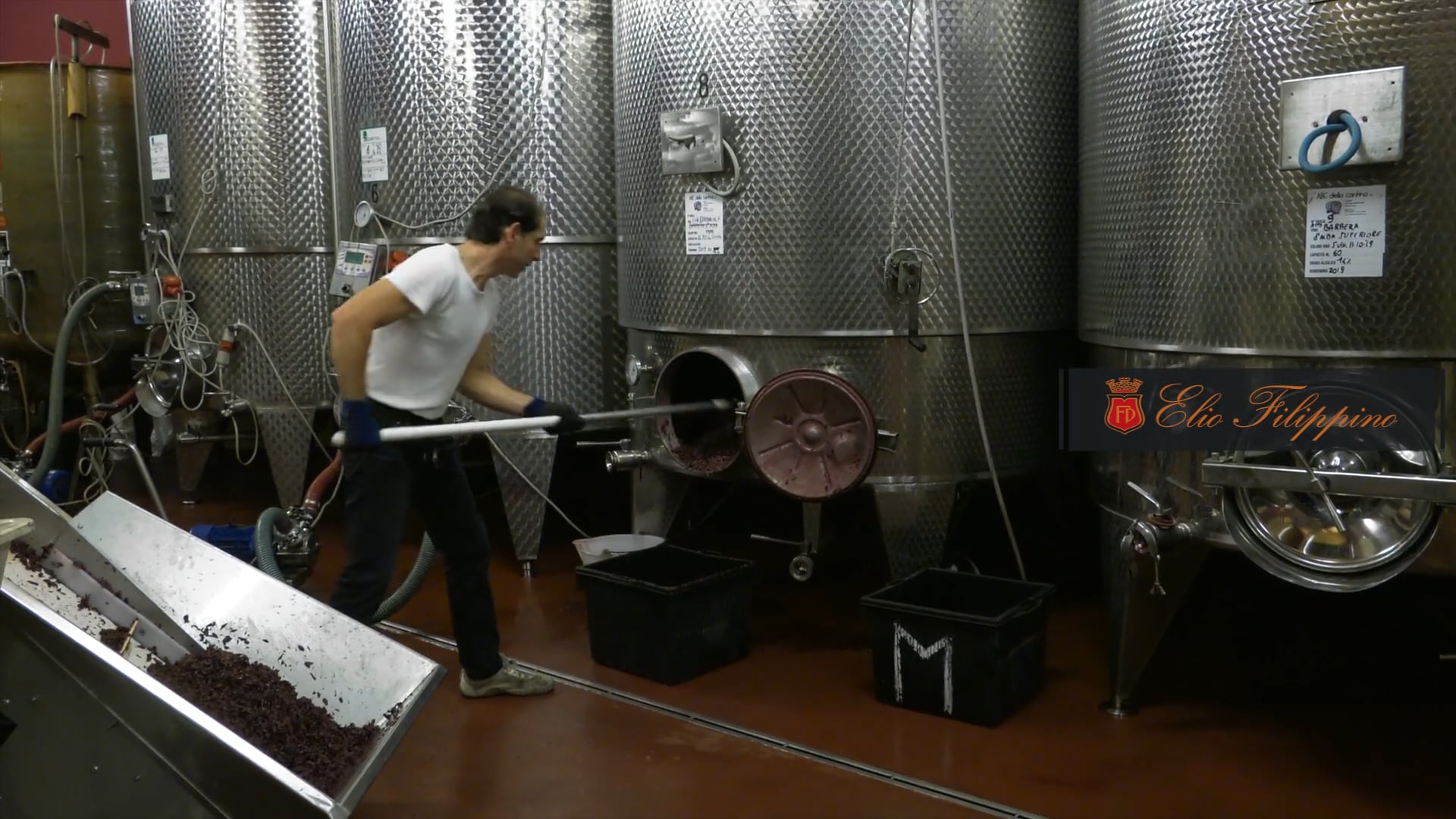 Momenti di vinificazione - Winemaking moments