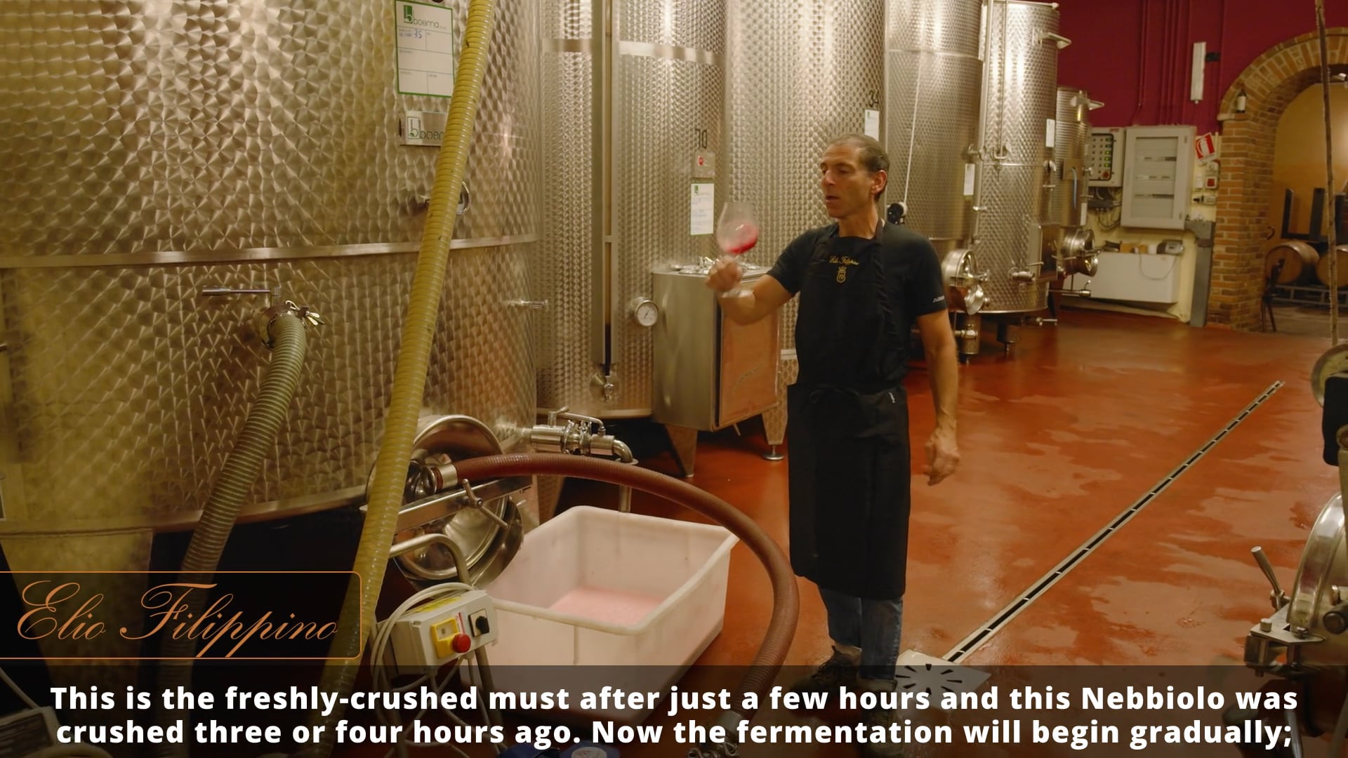 La vinificazione - Winemaking
