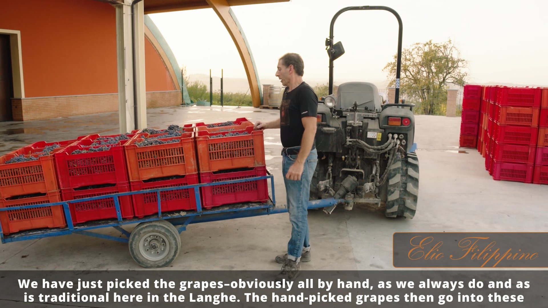 La pigiatura - The pressing