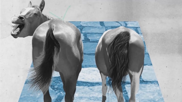 Horse's Ass