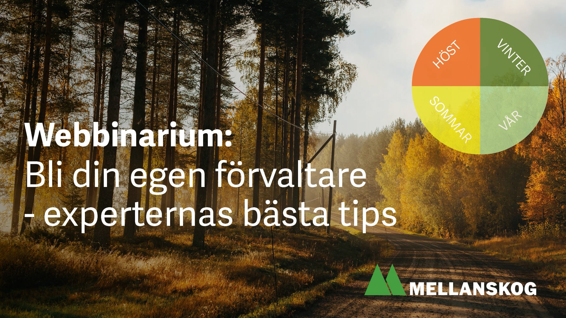 Webbinarium: Bli din egen förvaltare - experternas bästa tips
