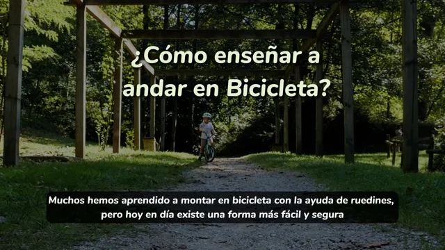 Ruedines Bicicleta Infantil Universal 20 Pulgadas Ruedines Bicicleta  Infantil Universal para Bicicletas de Niños,Verde Ruedines para Bicicletas  : : Deportes y aire libre