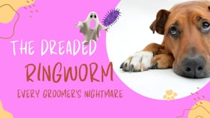 Ringworm