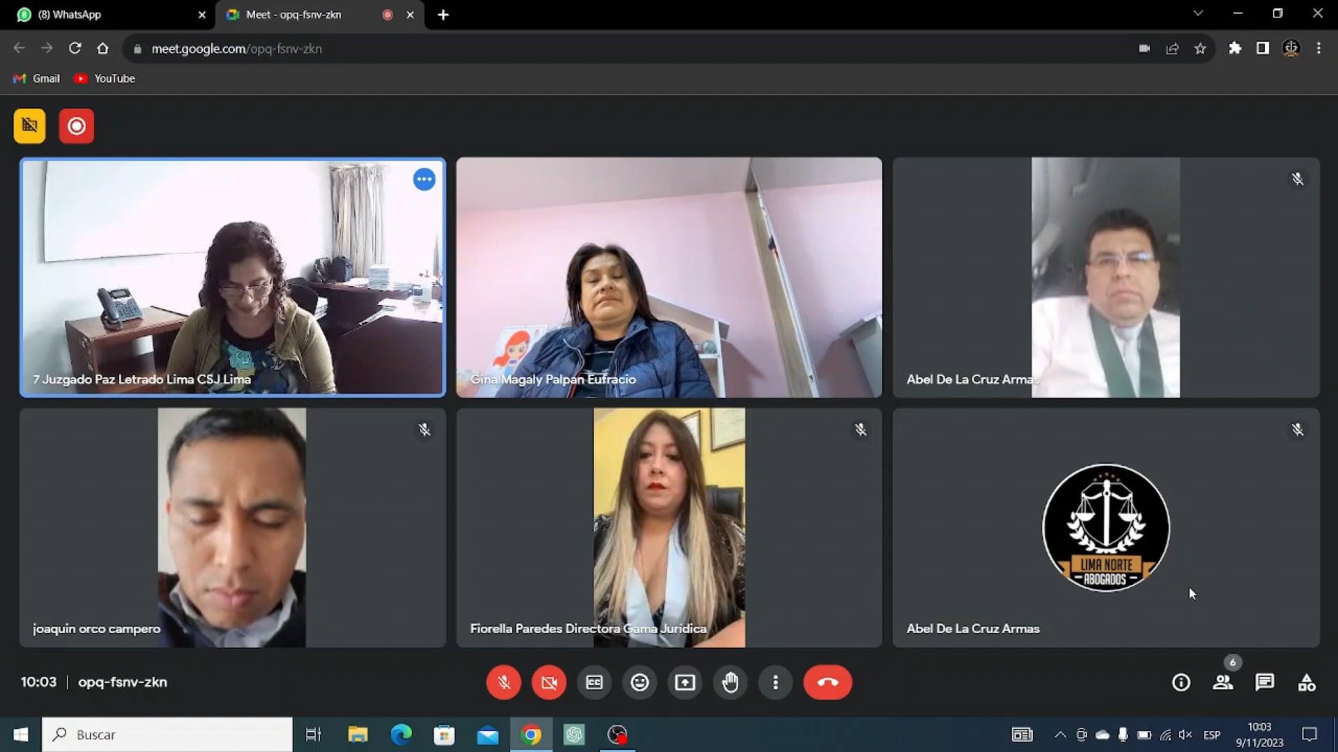 Audiencia de faltas contra la persona - Parte 01