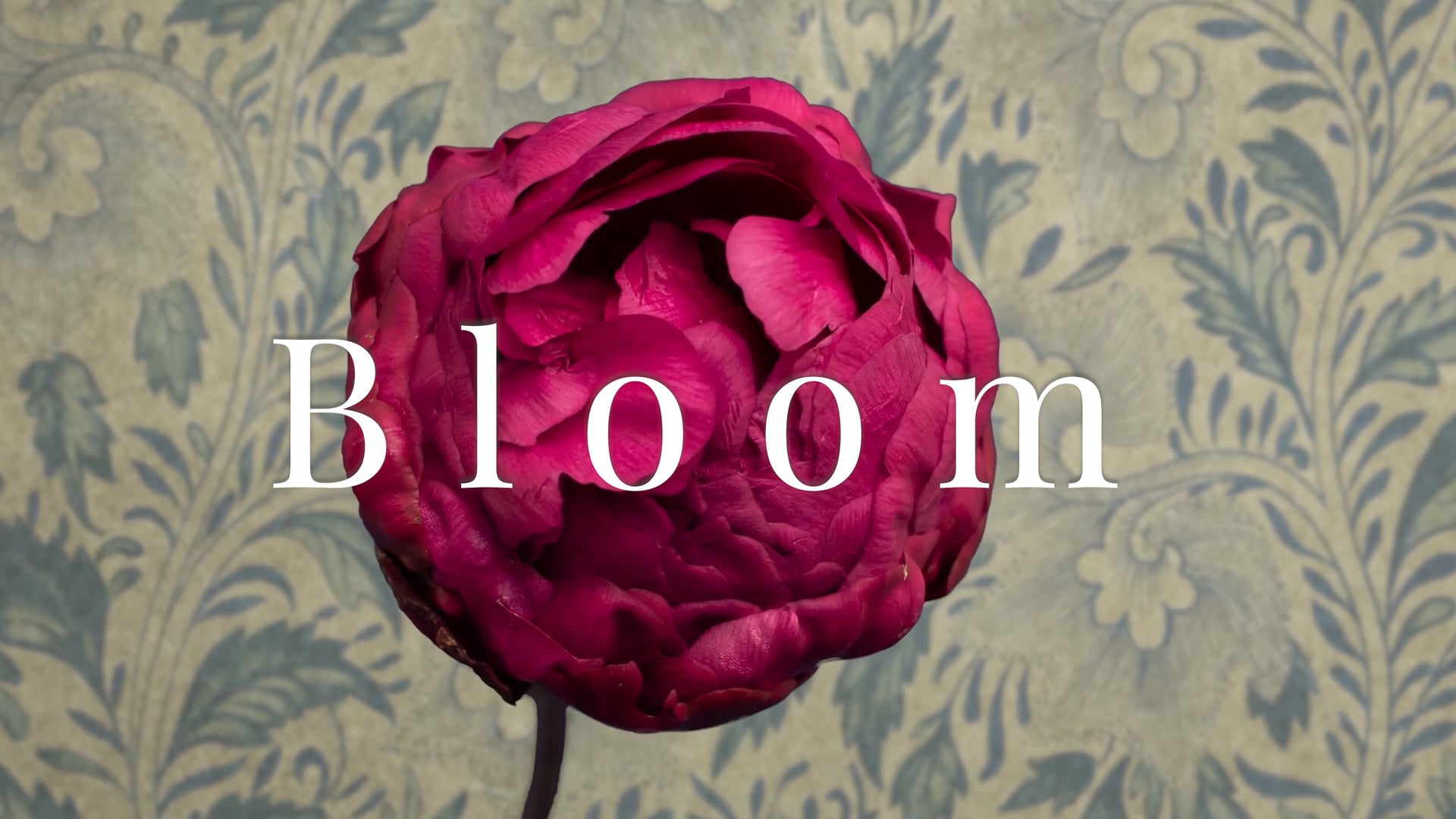 Trailer | Bloom