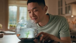 AMAZON BLINK | Goldfish