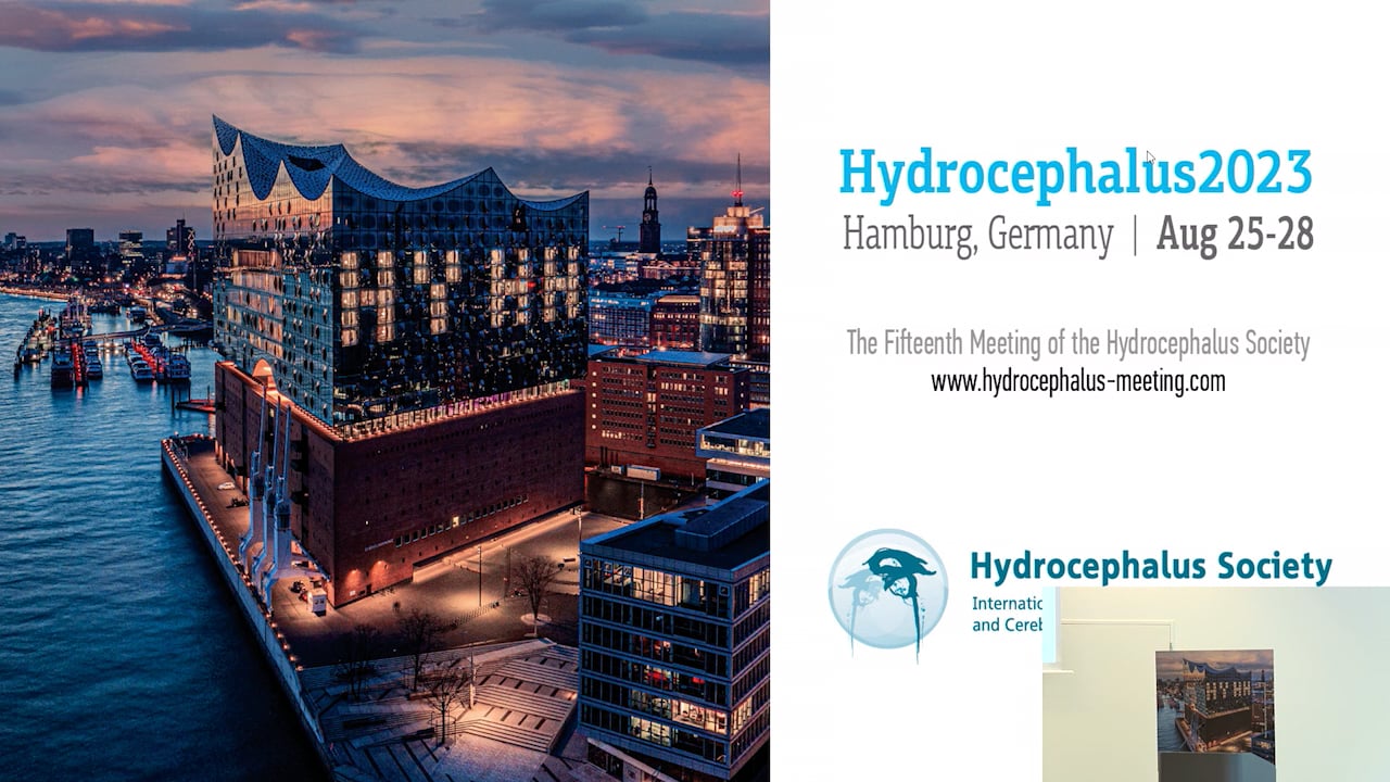 S26. Katharina Wolf - Potential impact of non-invasive phase-contrast MRI in the diagnosis of spontaneous intracranial hypotensi