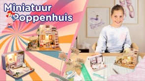 2230,2233 Miniature Dollhouses pink