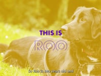 Roo Video