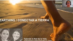 Earthing, la toma de tierra de los seres vivos.