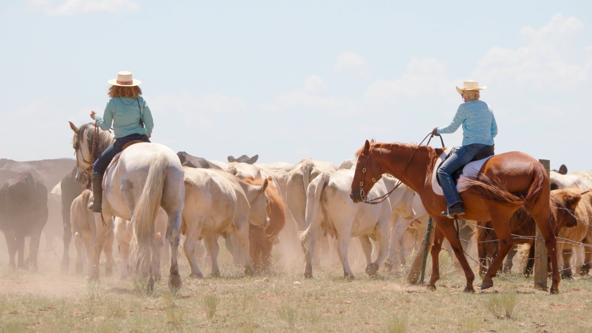 Hold Our Ground: Ranchers on Soil Health