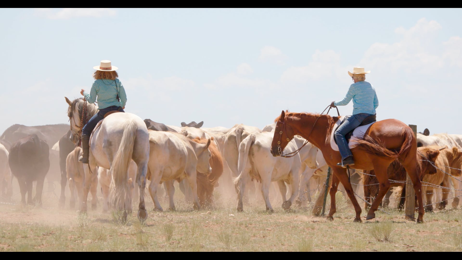 E2: Ranchers on Soil Health