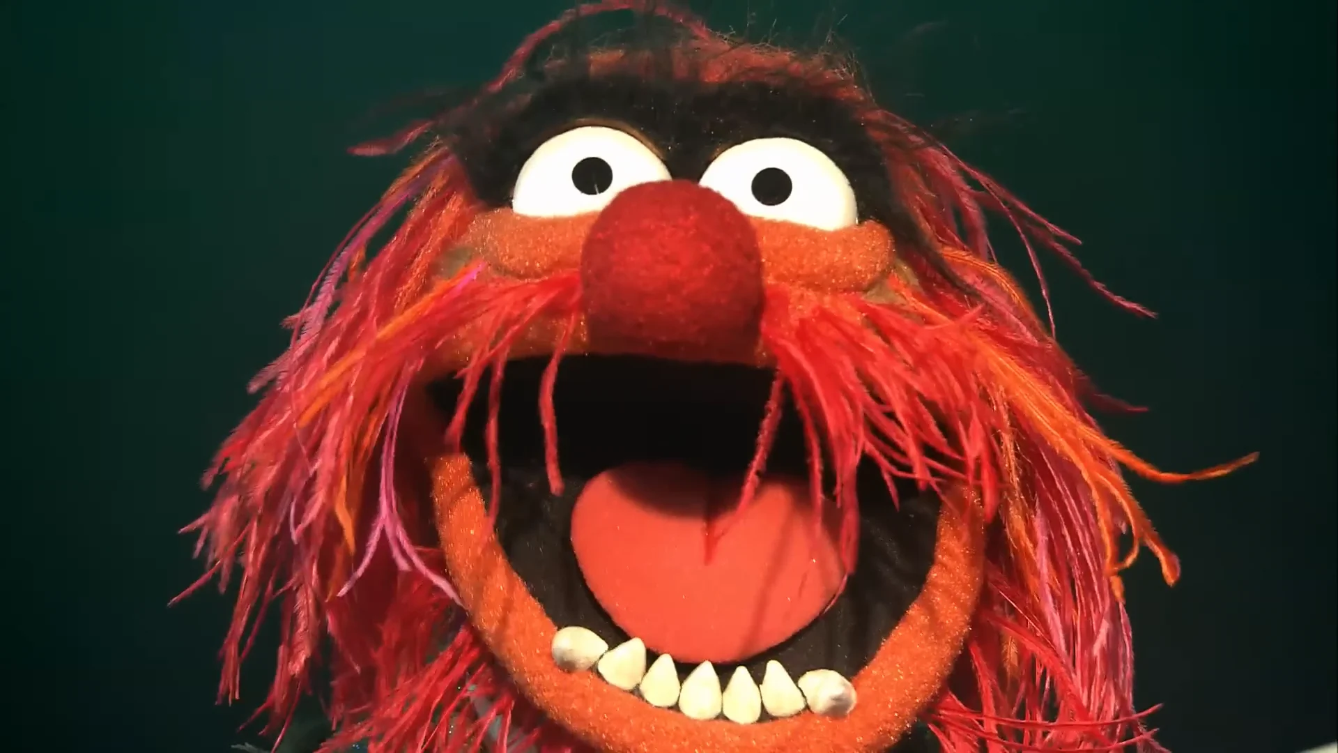 Bohemian Rhapsody Muppet Music Video The Muppets on Vimeo