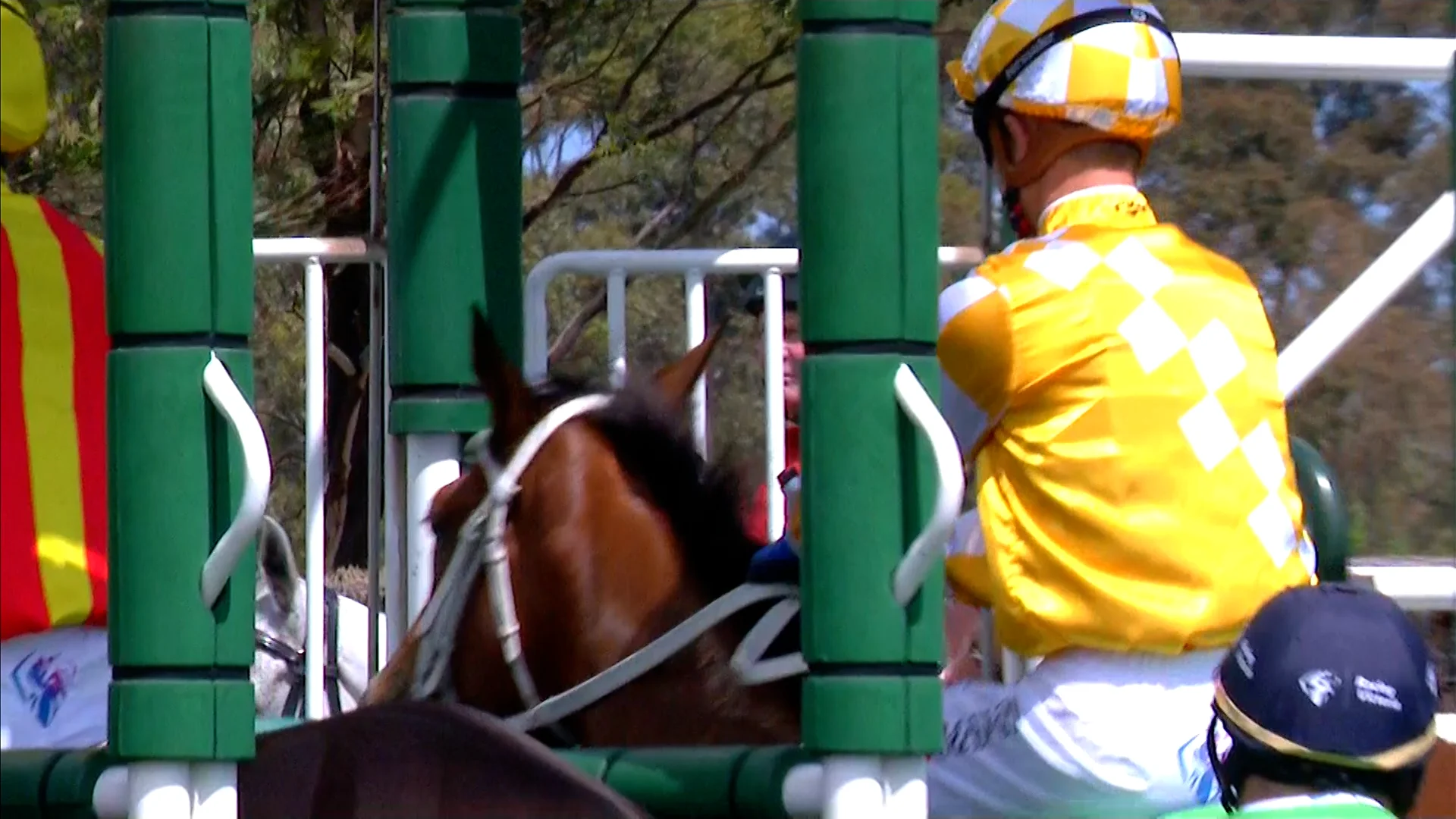 Stakes Day 23_Race 5 on Vimeo