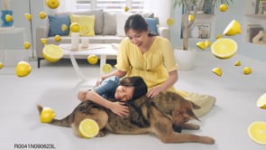 "Dog" Lysol All-in-One Cleaner