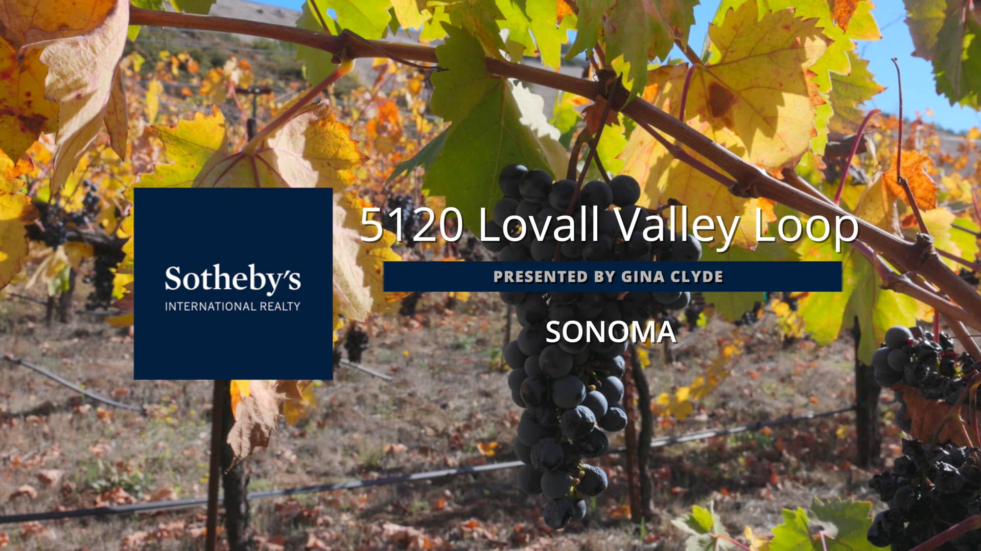 5120 Lovall Valley Loop Sonoma Presented By Gina Clyde On Vimeo 1558