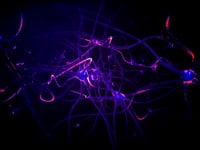 V14-Conceptual_3d_illust_11084484_HDMP4