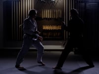 V24-Martial_arts_in_the_d_6022645_HDMP4