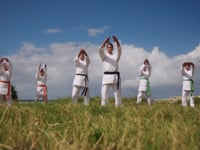 V19-Karate_School_Trainer_3192897_HDMP4