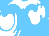 V23-Liquid_Motion_Transit_6079837_HDMOV