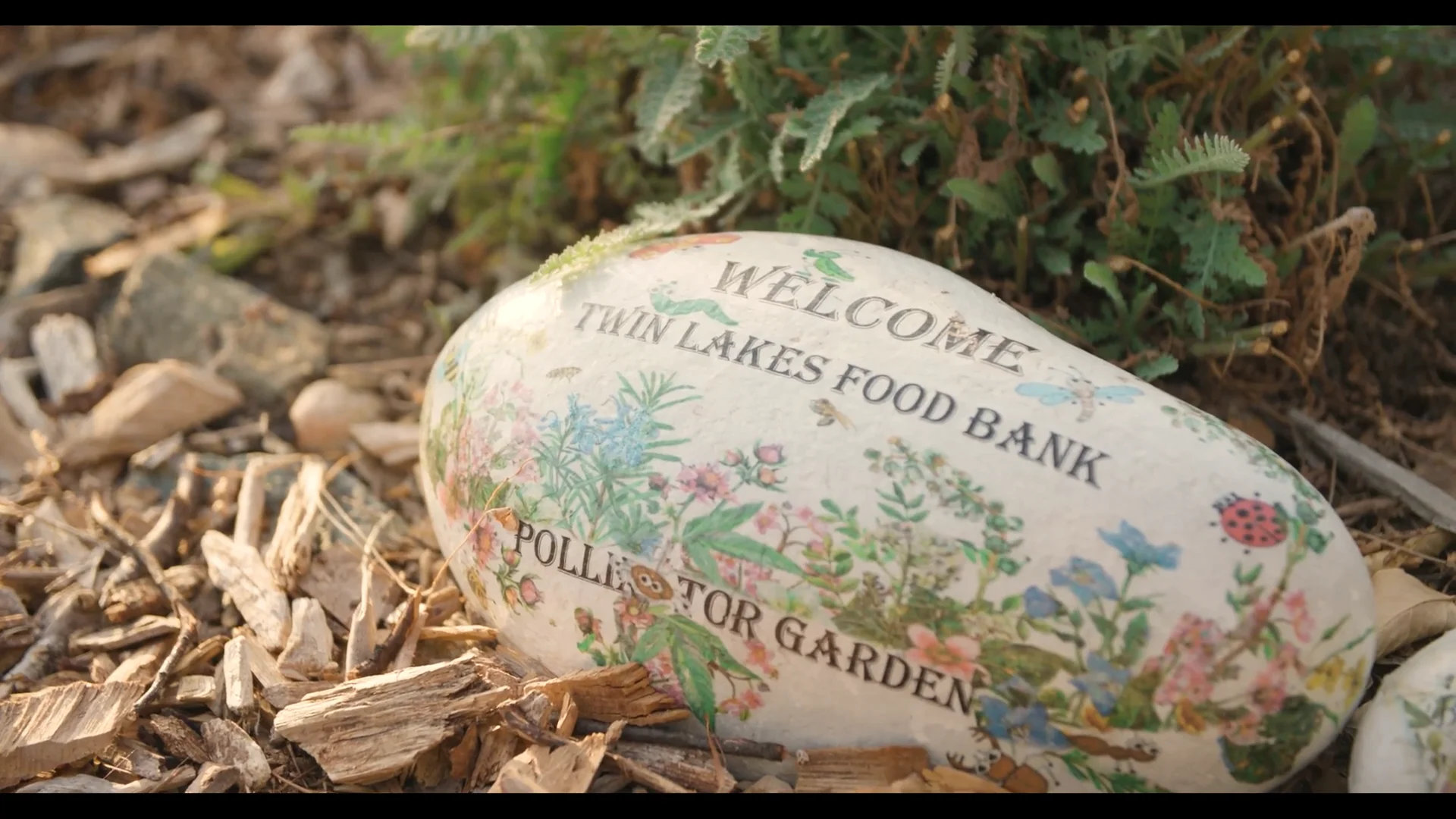 Garden on a roll video on Vimeo