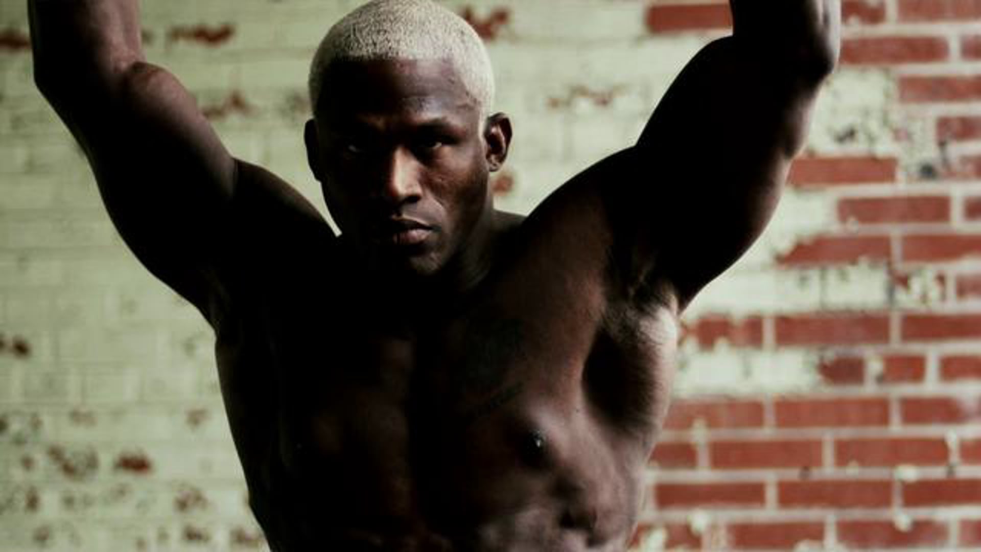 Gracie vs Randleman Vignette