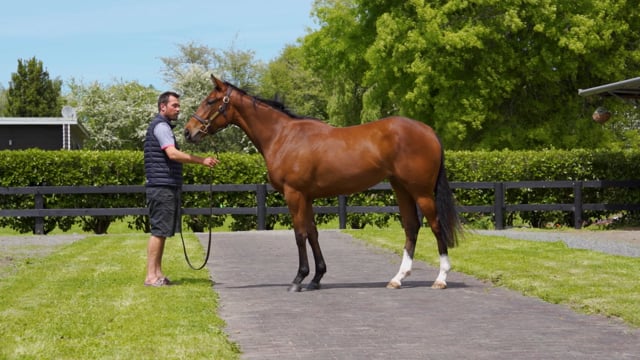 Lot 73