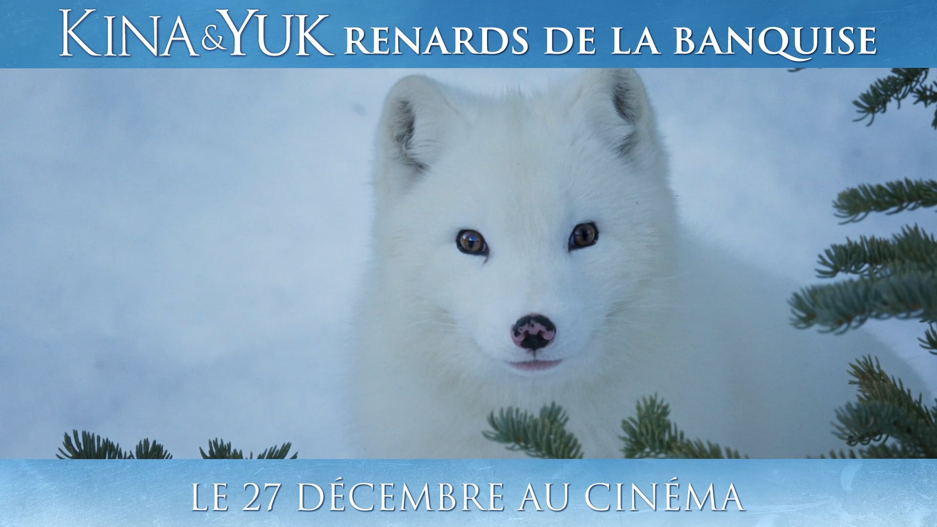 Kina et Yuk