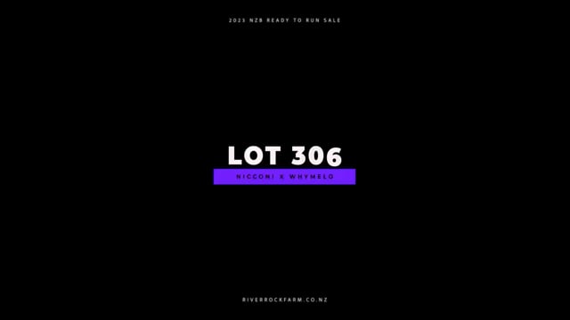 Lot 306