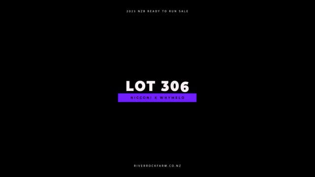 Lot 306